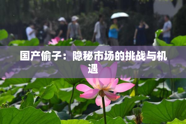 国产偷子：隐秘市场的挑战与机遇