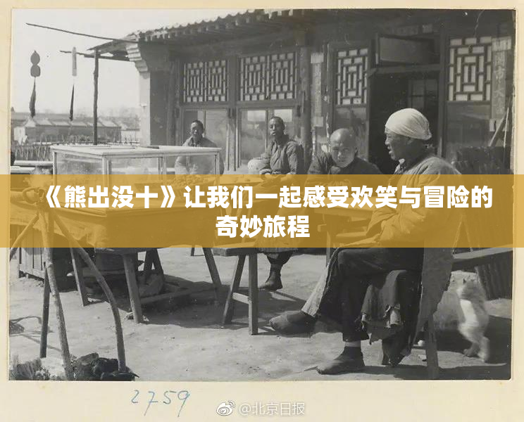 《熊出没十》让我们一起感受欢笑与冒险的奇妙旅程