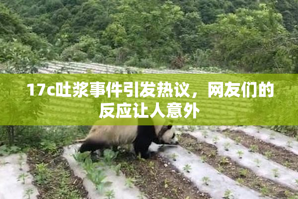 17c吐浆事件引发热议，网友们的反应让人意外