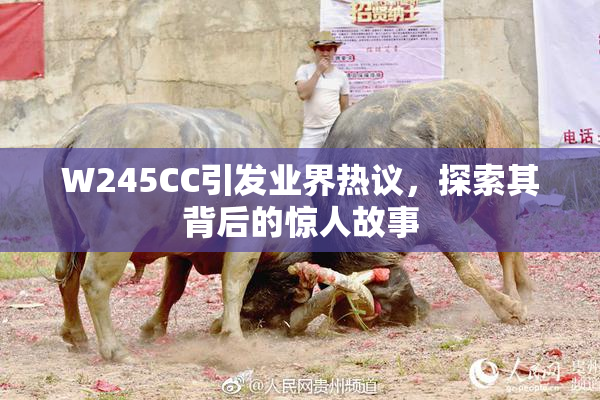 W245CC引发业界热议，探索其背后的惊人故事