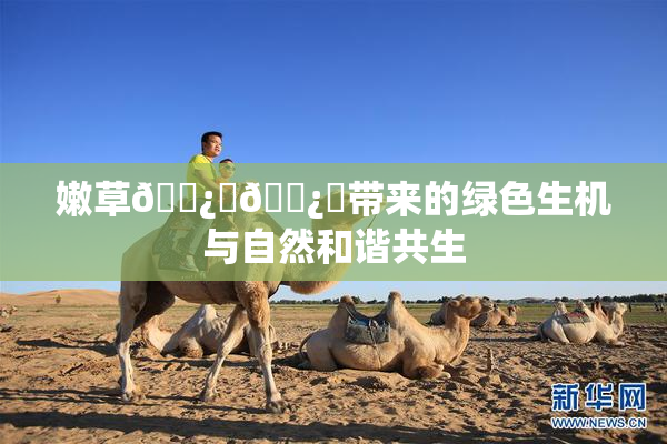 嫩草🌿‌🌿‌带来的绿色生机与自然和谐共生