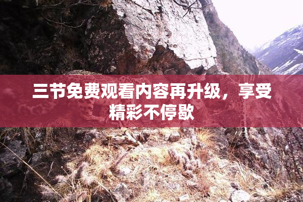 三节免费观看内容再升级，享受精彩不停歇