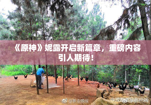 《原神》妮露开启新篇章，重磅内容引人期待！