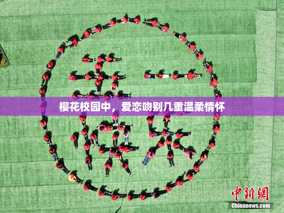 樱花校园中，爱恋吻别几重温柔情怀