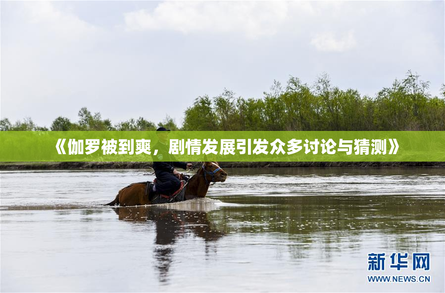 《伽罗被到爽，剧情发展引发众多讨论与猜测》