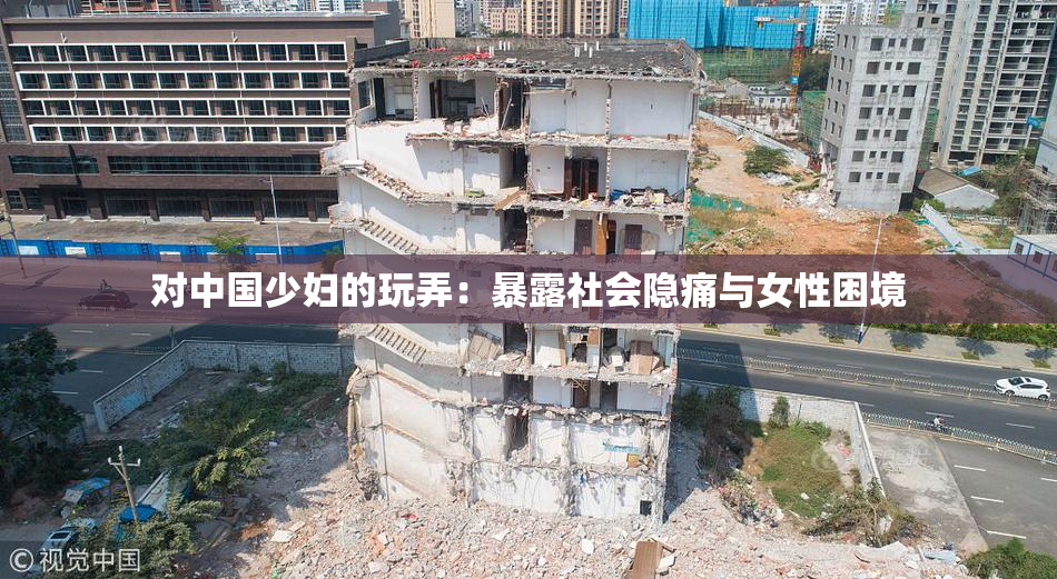 对中国少妇的玩弄：暴露社会隐痛与女性困境