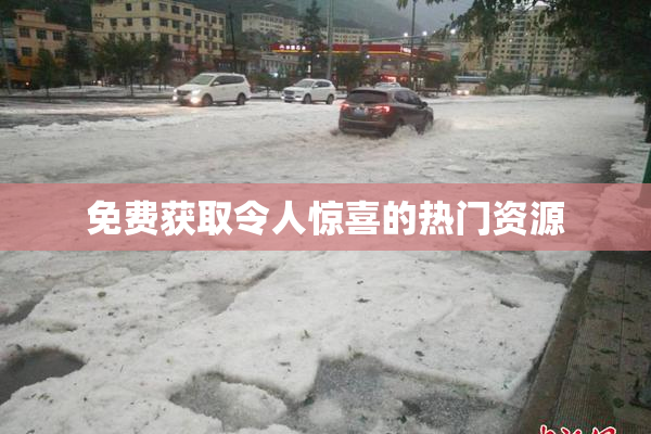 免费获取令人惊喜的热门资源