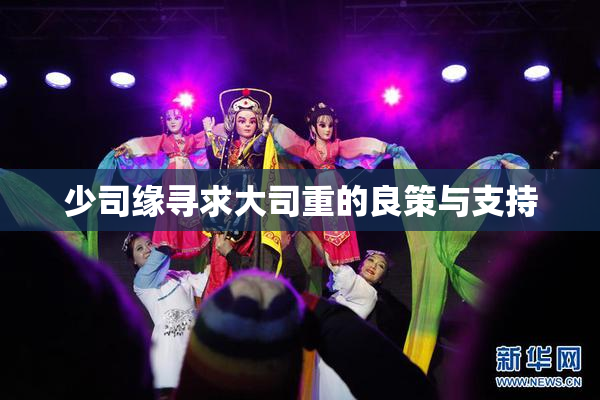 少司缘寻求大司重的良策与支持