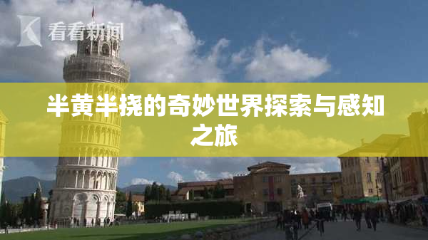 半黄半挠的奇妙世界探索与感知之旅