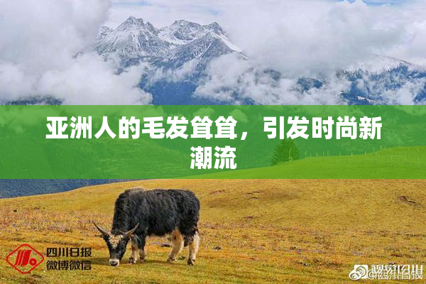 亚洲人的毛发耸耸，引发时尚新潮流