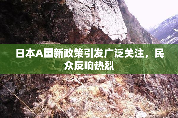 日本A国新政策引发广泛关注，民众反响热烈