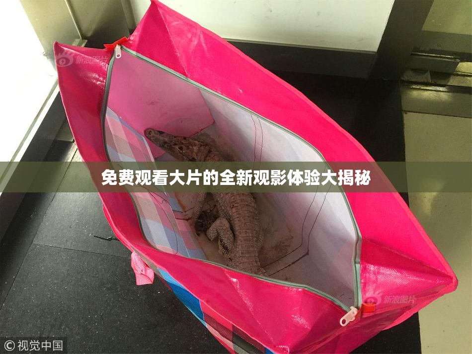 免费观看大片的全新观影体验大揭秘
