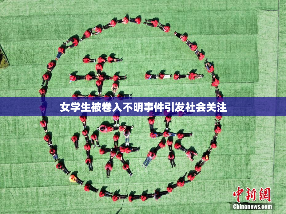 女学生被卷入不明事件引发社会关注