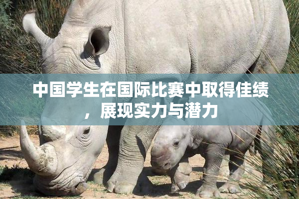 中国学生在国际比赛中取得佳绩，展现实力与潜力