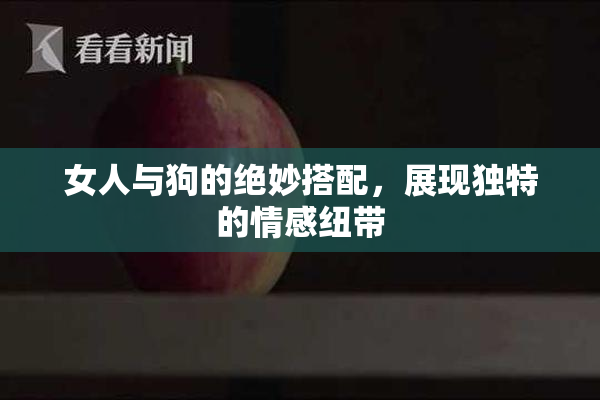 女人与狗的绝妙搭配，展现独特的情感纽带