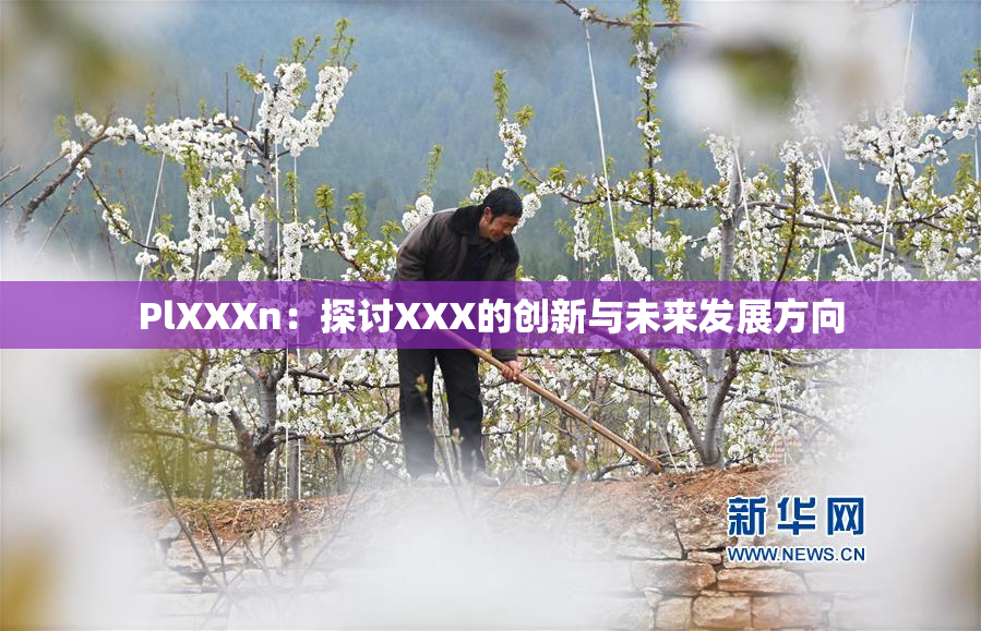 PlXXXn：探讨XXX的创新与未来发展方向