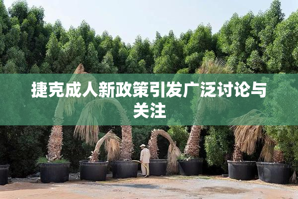 捷克成人新政策引发广泛讨论与关注