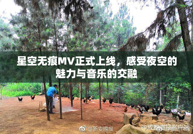 星空无痕MV正式上线，感受夜空的魅力与音乐的交融