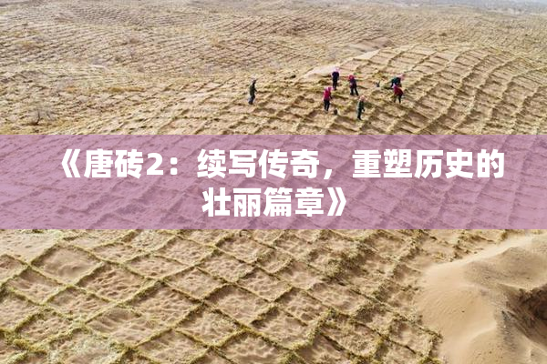 《唐砖2：续写传奇，重塑历史的壮丽篇章》