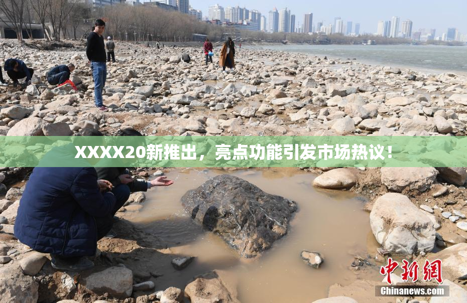 XXXX20新推出，亮点功能引发市场热议！