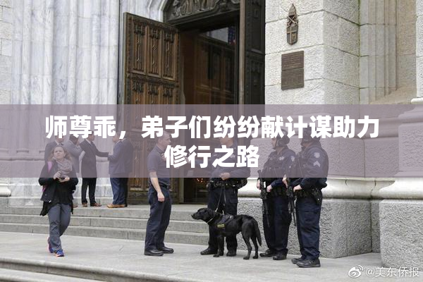 师尊乖，弟子们纷纷献计谋助力修行之路