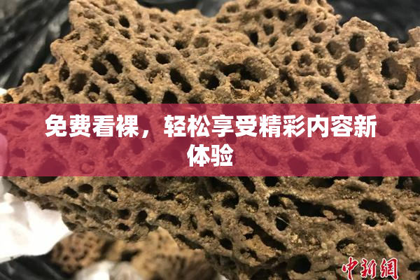 免费看裸，轻松享受精彩内容新体验