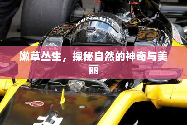 嫩草丛生，探秘自然的神奇与美丽