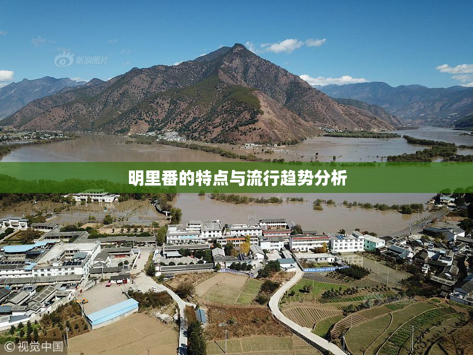 明里番的特点与流行趋势分析