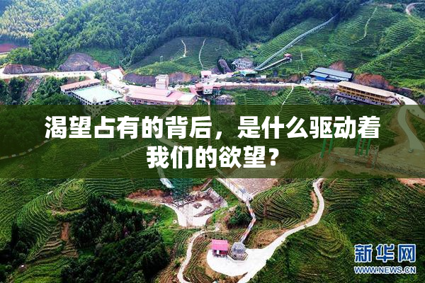 渴望占有的背后，是什么驱动着我们的欲望？