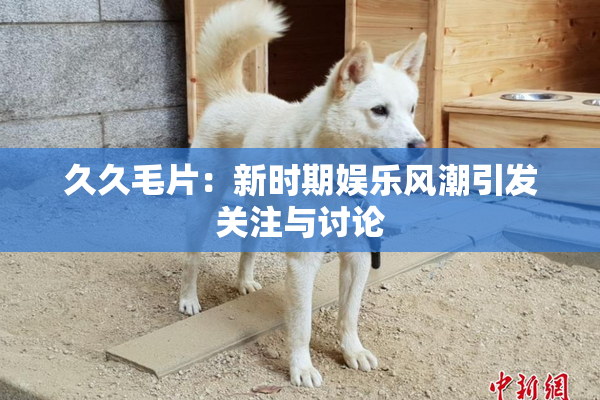 久久毛片：新时期娱乐风潮引发关注与讨论