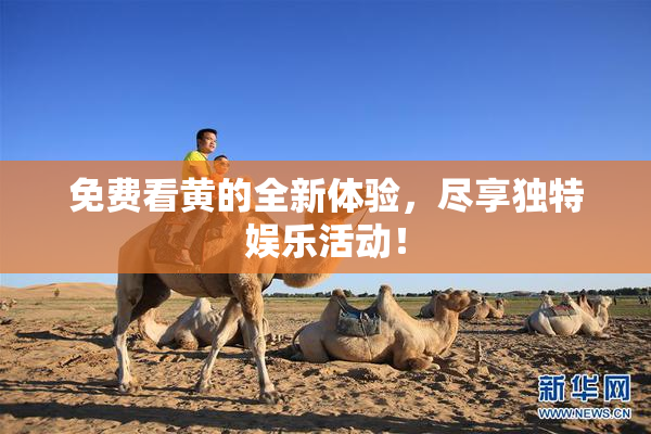 免费看黄的全新体验，尽享独特娱乐活动！