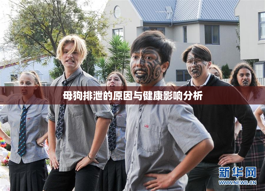 母狗排泄的原因与健康影响分析