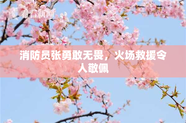 消防员张勇敢无畏，火场救援令人敬佩