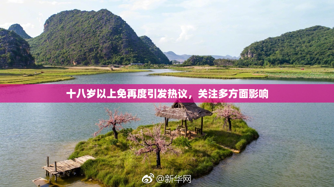 十八岁以上免再度引发热议，关注多方面影响