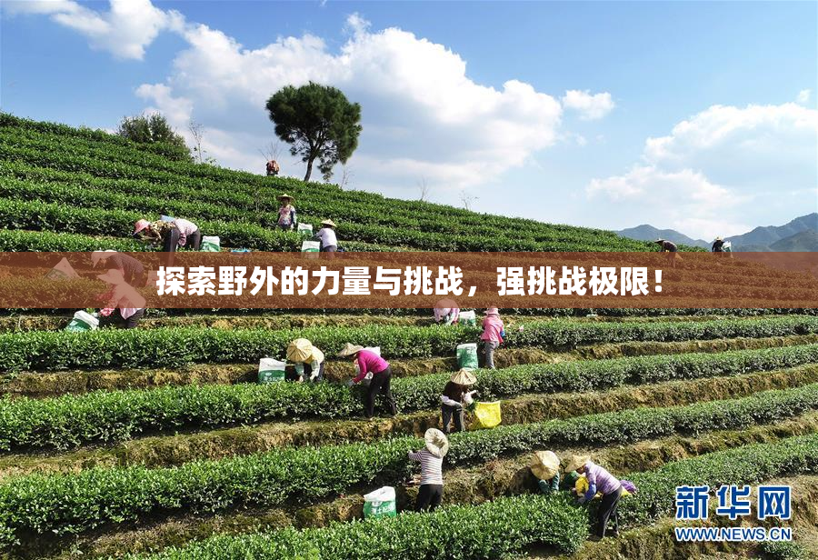 探索野外的力量与挑战，强挑战极限！