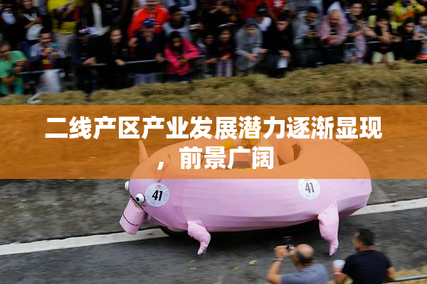 二线产区产业发展潜力逐渐显现，前景广阔