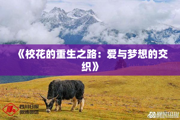 《校花的重生之路：爱与梦想的交织》