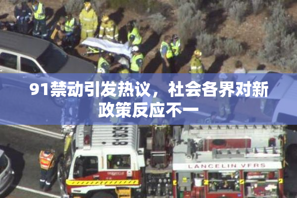 91禁动引发热议，社会各界对新政策反应不一