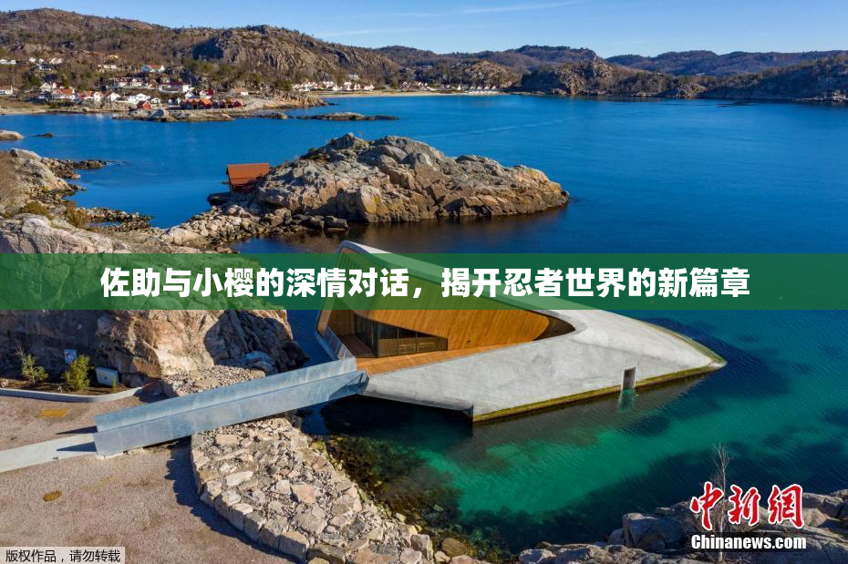 佐助与小樱的深情对话，揭开忍者世界的新篇章