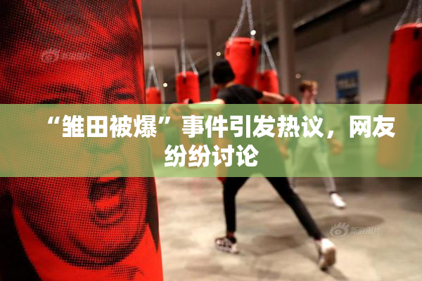 “雏田被爆”事件引发热议，网友纷纷讨论