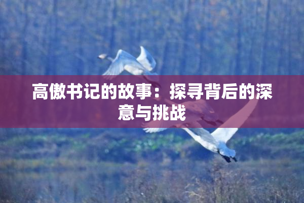 高傲书记的故事：探寻背后的深意与挑战