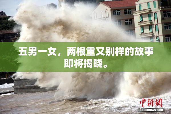 五男一女，两根重又别样的故事即将揭晓。