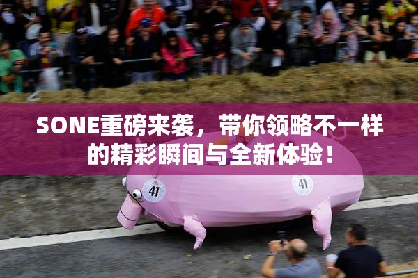 SONE重磅来袭，带你领略不一样的精彩瞬间与全新体验！