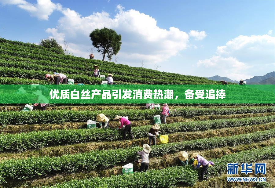 优质白丝产品引发消费热潮，备受追捧