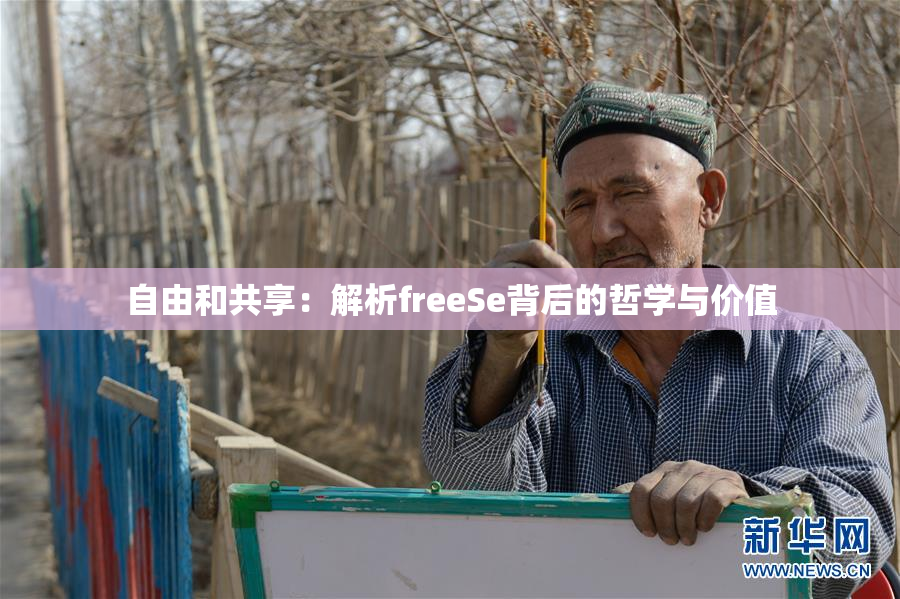 自由和共享：解析freeSe背后的哲学与价值