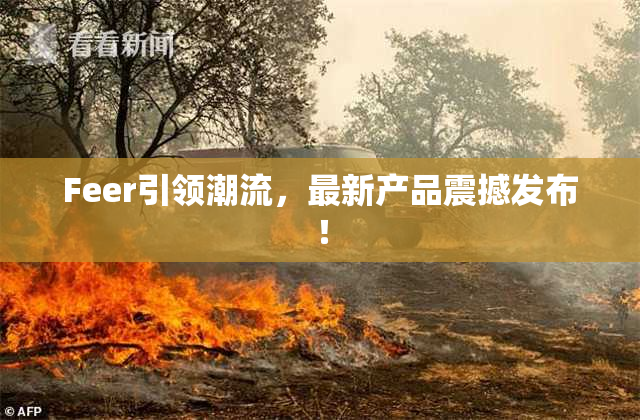 Feer引领潮流，最新产品震撼发布！