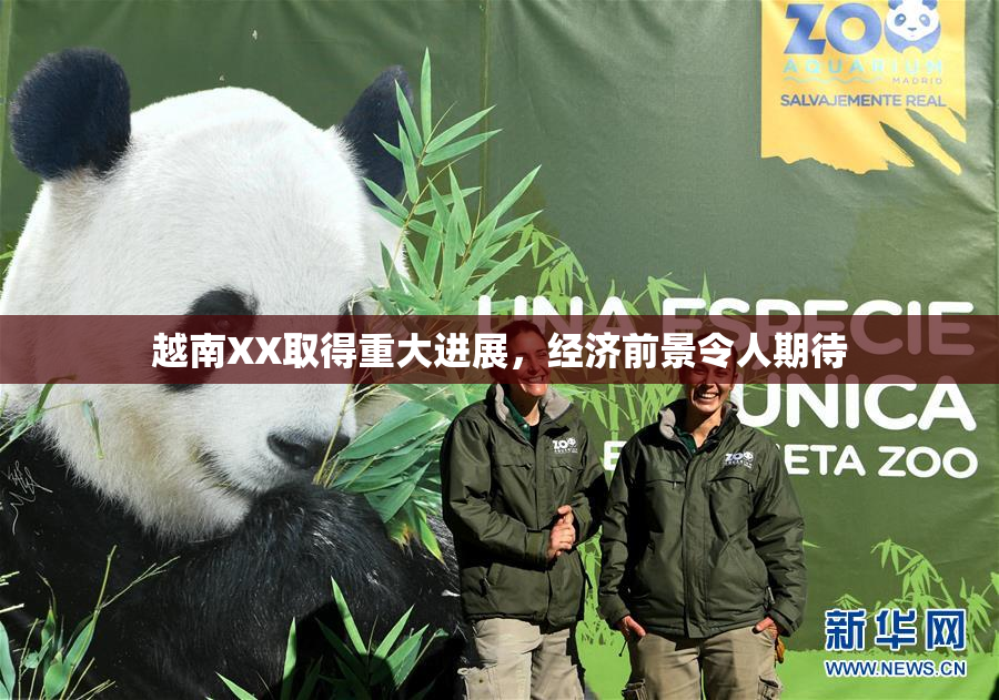 越南XX取得重大进展，经济前景令人期待
