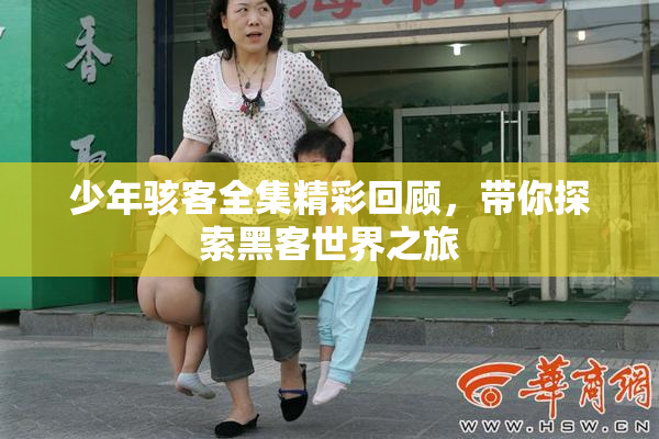 少年骇客全集精彩回顾，带你探索黑客世界之旅