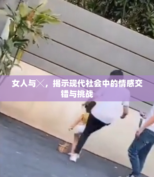 女人与╳，揭示现代社会中的情感交错与挑战