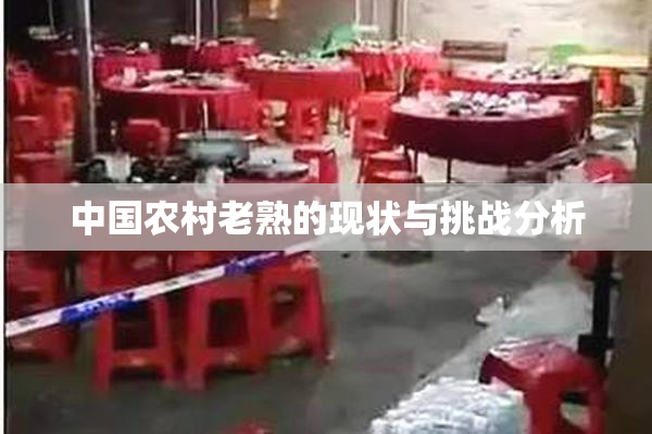 中国农村老熟的现状与挑战分析